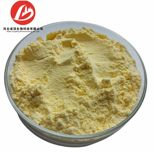 Natural Mango Fruit/Leaf Extract Mangiferin Powder 98% CAS 4773-96-0