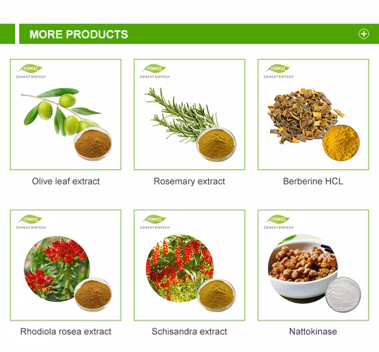  Сублимированный чистый порошок плодов клубники.  Сублимированный клубничный порошок кошерной консистенции.